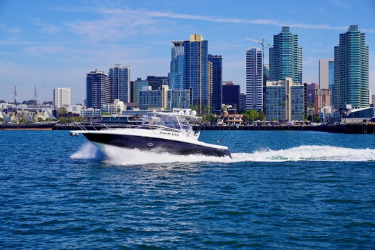 8A28CD59-4F62-49A8-A834-C35F2FC5B4E7_4_5005_c