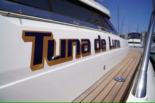 997C1858-ED68-462D-AB3E-60F1ED7ED01D_4_5005_c