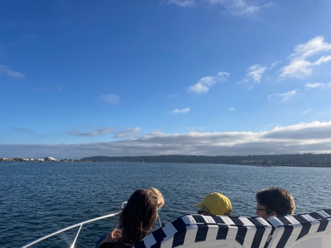 C70C9605-2AA8-4A8C-9F52-D8AD96EBE4E7_4_5005_c