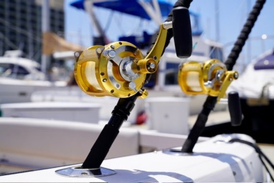 C77E7060-A785-408D-8F66-8530A8084E33_4_5005_c