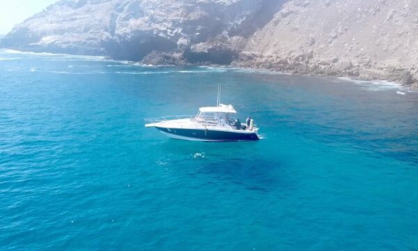 D451BAA1-854E-430E-9457-B986E3C5627F_4_5005_c