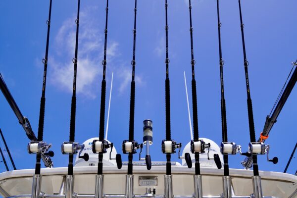 EEE33B7A-00FE-4CBE-A061-2D0B415CD555