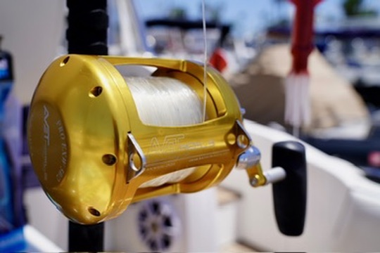 FFF3DEBB-40DF-41F1-8C34-4DC4ADB668A0_4_5005_c